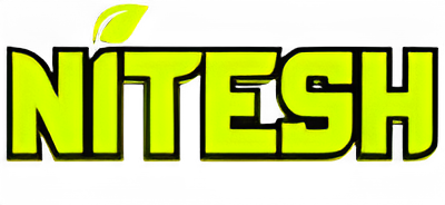 Nitesh Mehta Logo - Freelance Digital Marketing Expert
